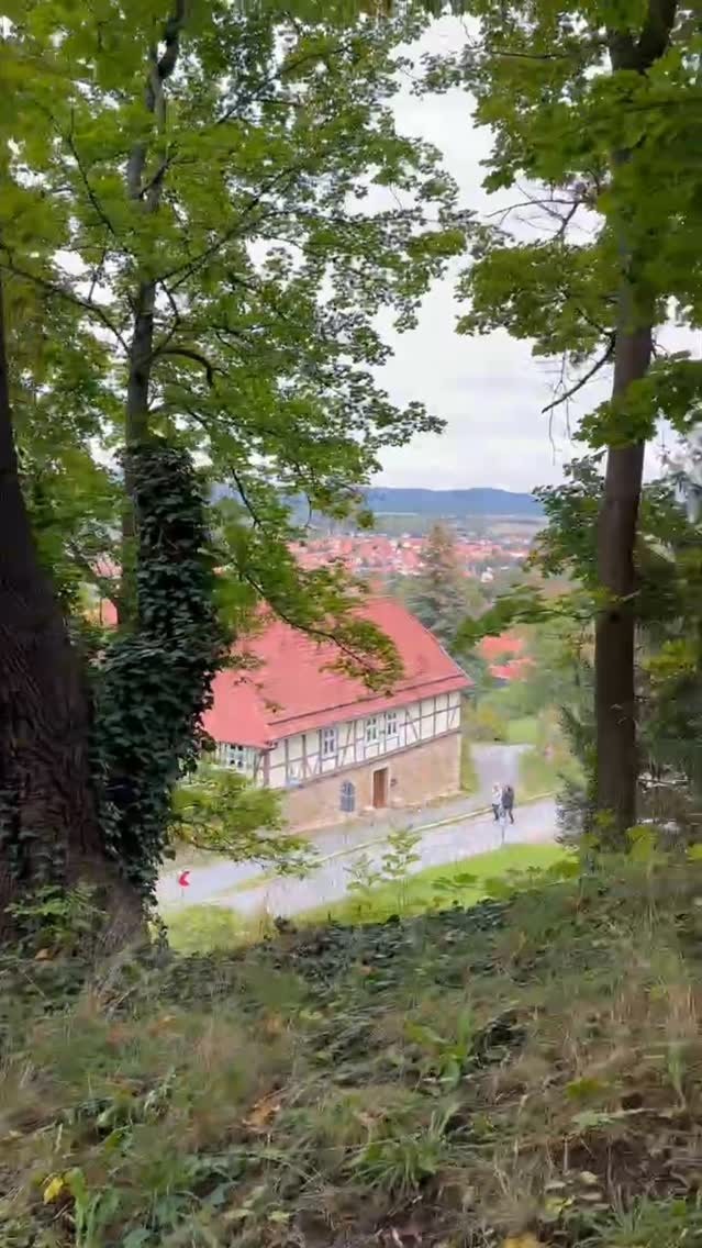 Be like a flower blooming in the most difficult circumstances - invincible and beautiful 💐💫